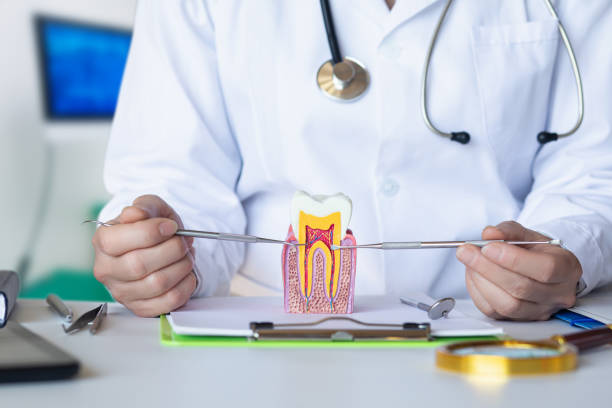 Best Knocked-Out Tooth (Avulsed Tooth) Treatment in Cocoa, FL